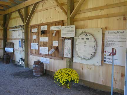 Inside barn