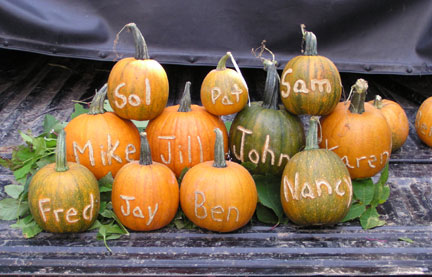 Pumpkins 1